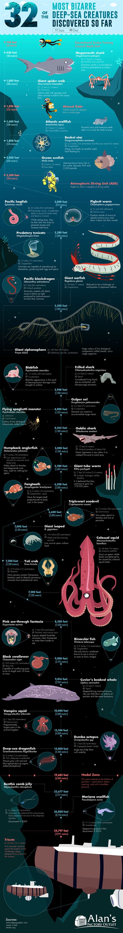 32 of the Most Bizarre Deep-Sea Creatures Discovered So Far #infographic - Visualistan