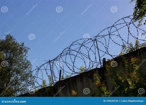 Prison Barbed Wire. Prison Fence Stock Photo - Image of camp, defense ...