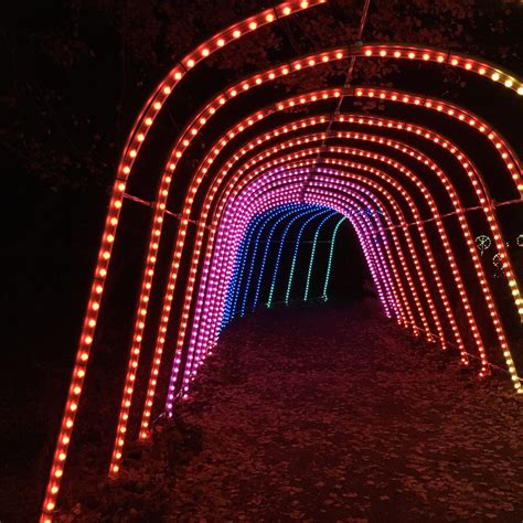 Meadowlark Botanical Gardens Winter Walk of Lights - Adventures in DC