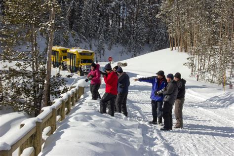 FAQ: Everything to Know About Visiting Yellowstone in Winter