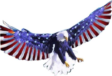 Download Recent Searches - American Flag Bald Eagle Transparent Clipart Png Download - PikPng