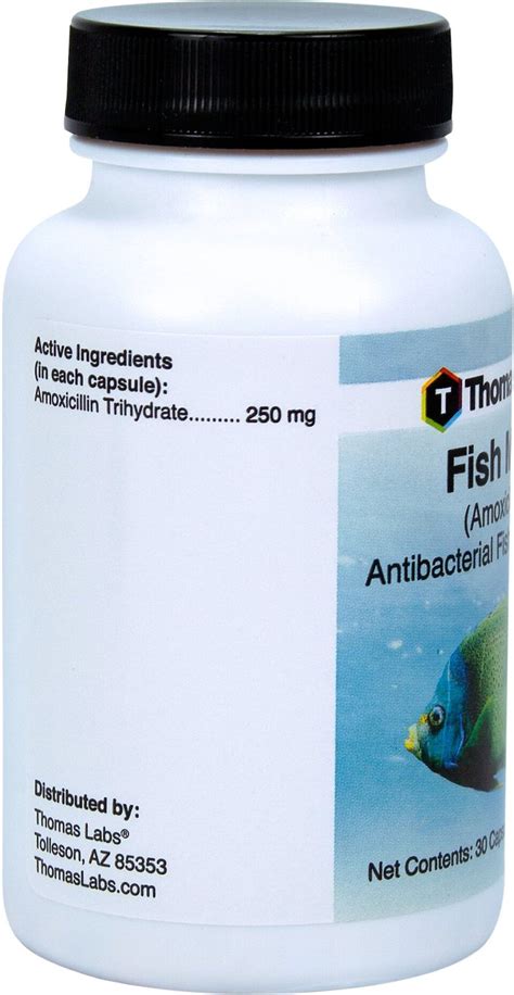 Thomas Labs Fish Mox Amoxicillin Antibacterial Fish Medication, 250 mg, 30 count - Chewy.com