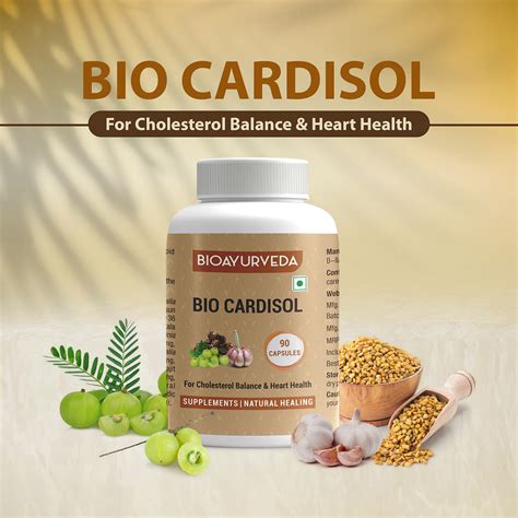 Supplements to Lower Cholesterol | Cholesterol Balance | BIOAYURVEDA