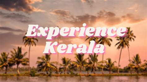 Top 6 Budget Honeymoon Destinations In Kerala