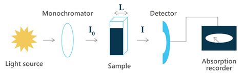 Absorbance Testing | Boston BioProducts