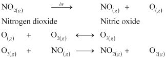 Write down thereactions involved during the formation of photochemical ...