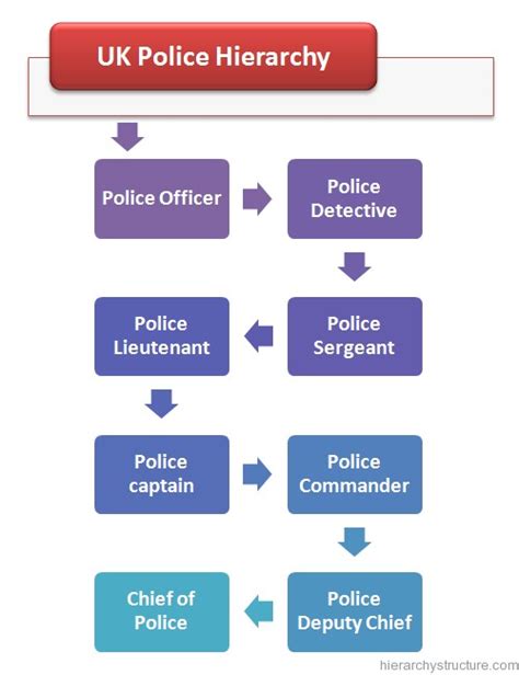 UK Police Hierarchy Structure | British Police Hierarchy