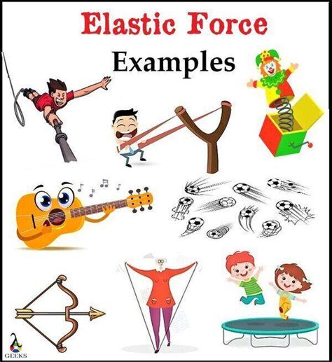 11 List of Elastic Force Examples and Critical FAQs