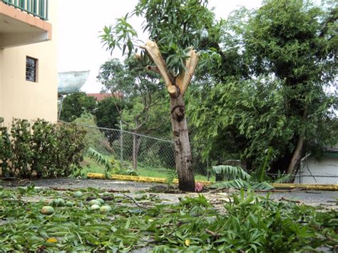 Patricia Carrier: Natural Phenomenon - The effects of a hurricane on ...