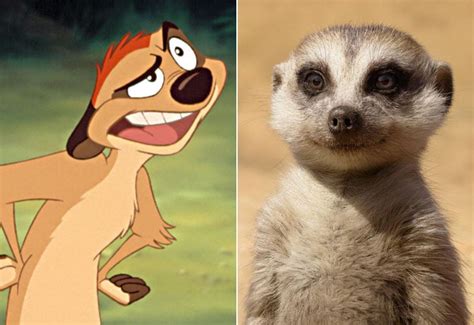 Timon | Lion King Cartoon and Live-Action Cast Side-by-Side Photos | POPSUGAR Entertainment Photo 12