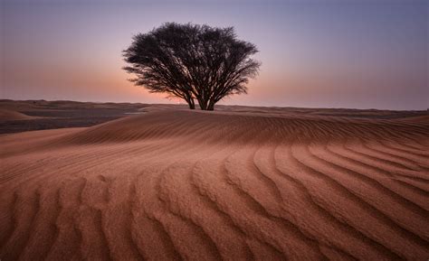 Sand Dune Under Blue Sky · Free Stock Photo