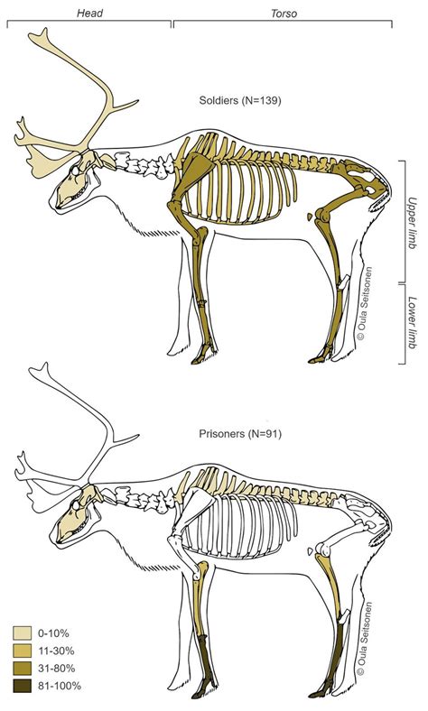 Reindeer body parts in the soldier and prisoner contexts (see Table 2;... | Download Scientific ...