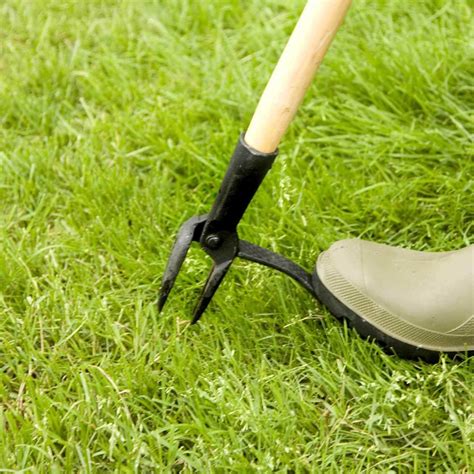 Make Yard Work Easier with these 12 Tools | Family Handyman