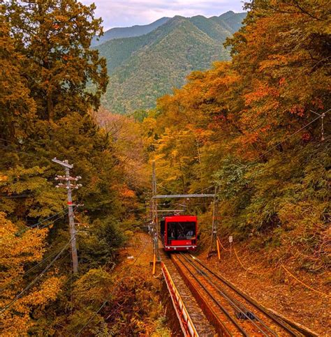 The Best Spots to See Autumn Leaves in Kansai - GaijinPot Travel