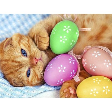 5D Diamond Painting Easter Egg Kitten in a Flower Pot Kit - Bonanza Marketplace