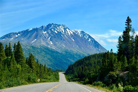 Places To Visit Along The Alaska Highway | Alaska Wildlife Guide LLC