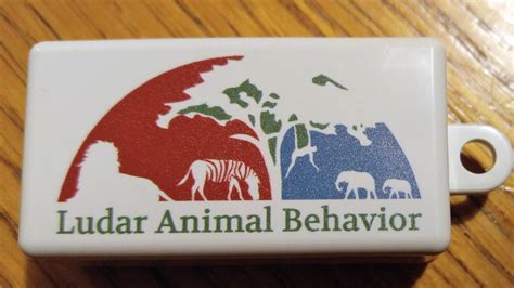 Animal behavior and training supplies