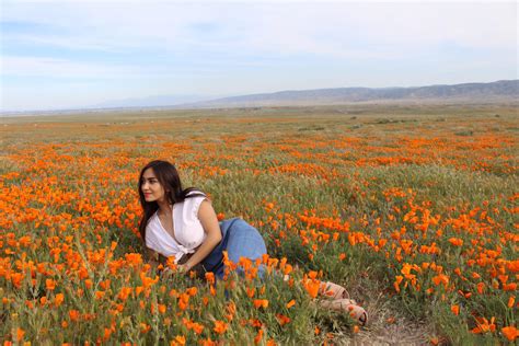 Antelope Valley Poppy Blooms! Travel California - oh hey, pretty