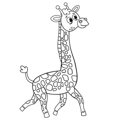 Premium Vector | Black and white vector illustration of a giraffe