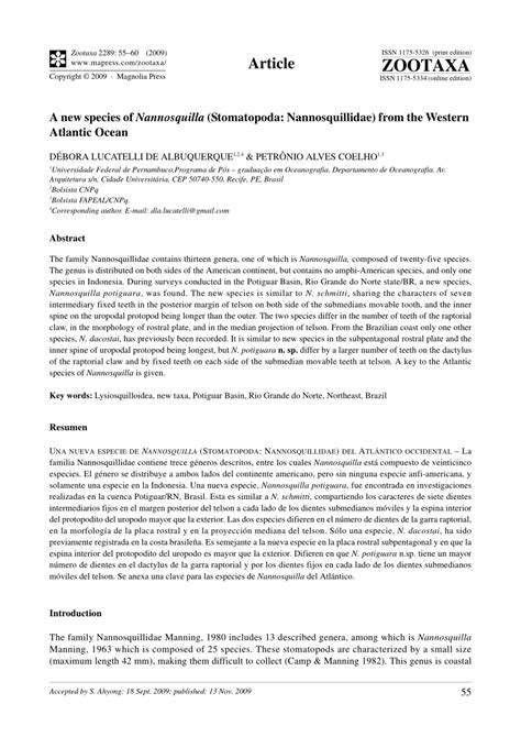 (PDF) A New Species Of Nannosquilla (Stomatopoda: Nannosquillidae) From The Western Atlantic Ocean