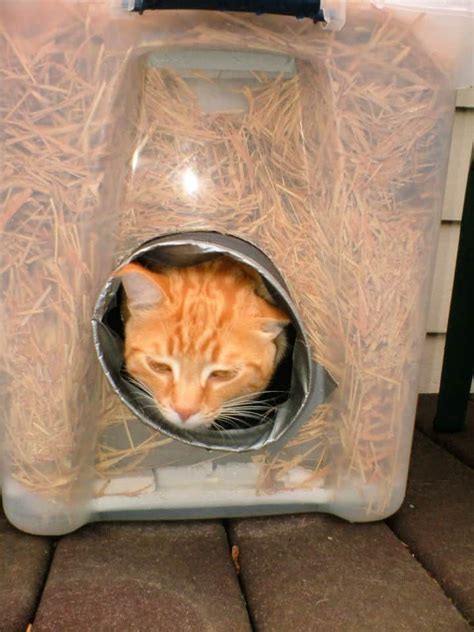 30 Best DIY Outdoor Cat House Plans