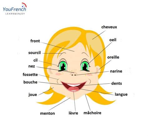 Learn the body parts in French - Improve your vocabulary