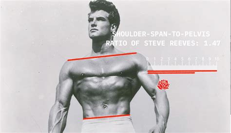 What Is Considered Broad Shoulders? — Outlive