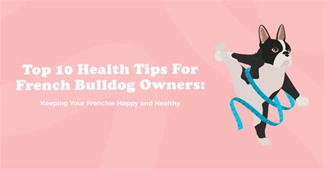 Top 10 Health Tips for French Bulldog Owners: Keeping Your Frenchie Ha – Frenchie Bulldog