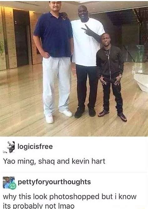 Yao ming, shaq and kevin hart ªê pettyforyourthoughts Why this look photoshopped but i know its ...