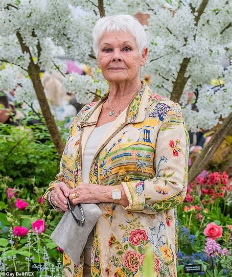 Judi Dench takes a swipe at Daniel Craig's 'gloomy' James Bond | Daily ...