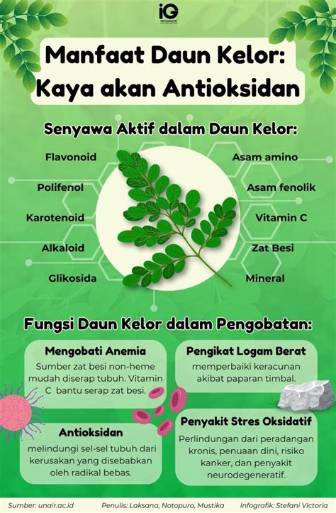 Infografik: Manfaat Daun Kelor: Kaya akan Antioksidan - Universitas Airlangga Official Website