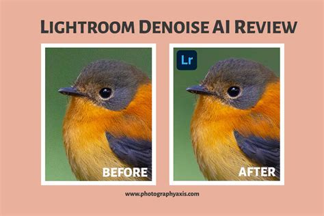 Lightroom Denoise AI – Is It Really Good?[Full Tutorial+Review] - PhotographyAxis