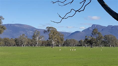 Halls Gap Lakeside Tourist Park | Visit Grampians