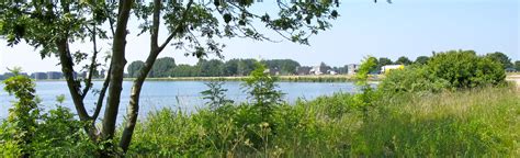 AllTrails | Almere Muziekwijk - Beach - Kromslootpark - Almere Harbour: 2 Reviews, Map ...