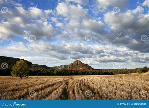 Australian Landscape stock photo. Image of lone, farm, grass - 819224