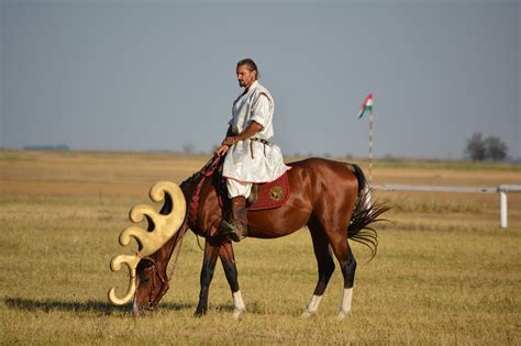 Hungarian,culture,tradition,rider,aranyszarvas - free image from ...