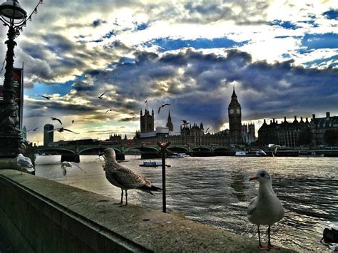 Thames river london, places to visit in london, best place in london | London places, Places to ...