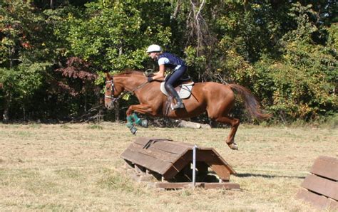 MAPLE RIDGE SPORT HORSES - Horse Training