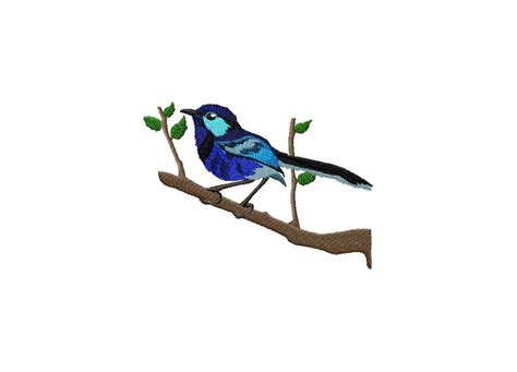 Splendid Fairywren Embroidery Design – Daily Embroidery