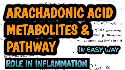 INFLAMMATION - ARACHIDONIC ACID METABOLITES ROLE IN INFLAMMATION - YouTube