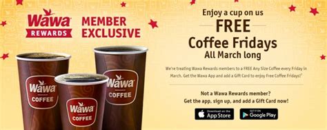 Friday-Celebrating Reward Programs : Wawa Rewards