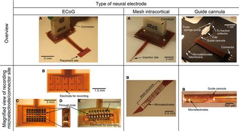 Photographs of the fabricated ECoG electrode, mesh intracortical... | Download Scientific Diagram