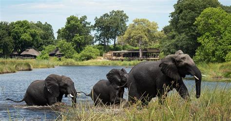 About Chobe National Park in Botswana - Travel information and all you need to know before ...