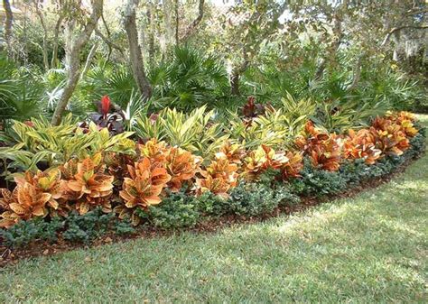 21 Awesome Croton Landscaping Ideas To Add More Color To Your Garden ...