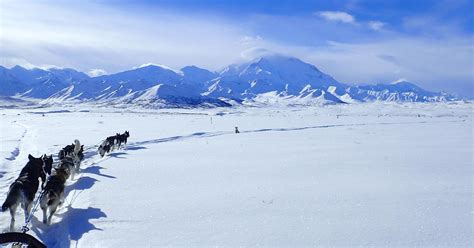 Denali Winter – Telegraph