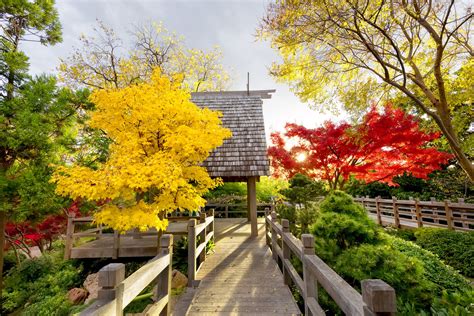 The Fort Worth Japanese Garden - Fort Worth Botanic Garden