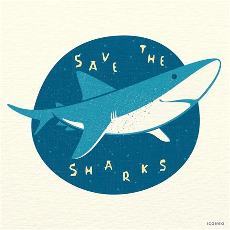 Save the sharks #iconeo | Save the sharks, Instagram posts, Art