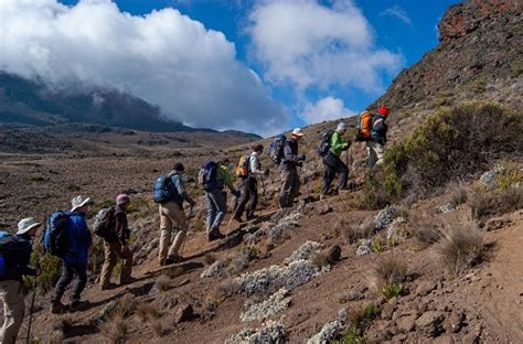 Best Kilimanjaro climbing routes and their summit rates