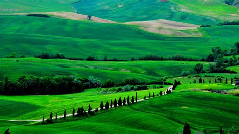 Italia, Toscana, paisaje de primavera, campos, carreteras, árboles, verde Fondos de pantalla ...