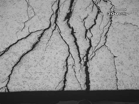 Stress Corrosion Cracking of Stainless Steel in Marine Environments | Warren Forensics